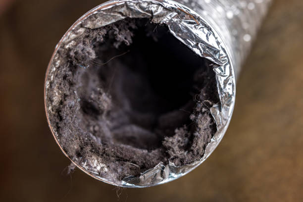 Best Ductwork Cleaning Services  in Greenbrier, TN